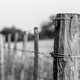 Illustration for article titled Barbed Wire Fences Were An Early DIY Telephone Network
